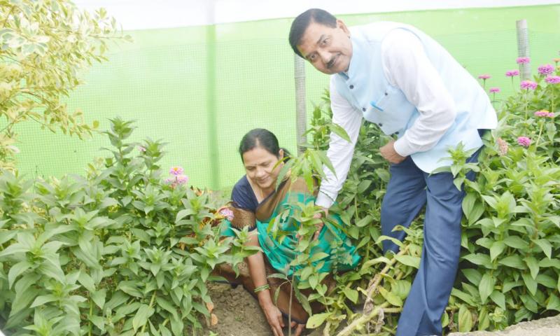Planting of Sapling by Director